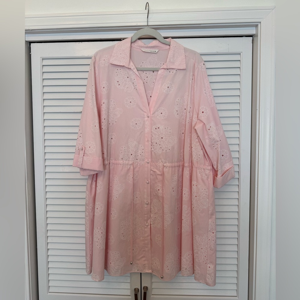 Zara Dress Pink XXL